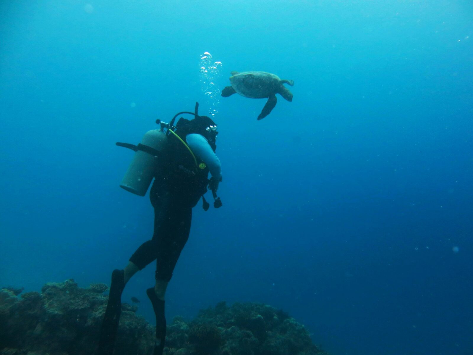 Being a female marine conservationist in Maldives | Blue Marine Foundation